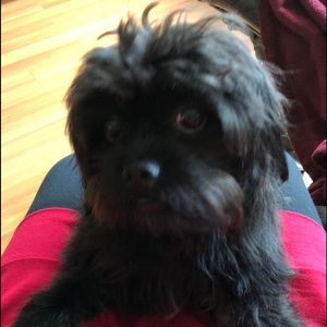 Meet your Posher, Carmen